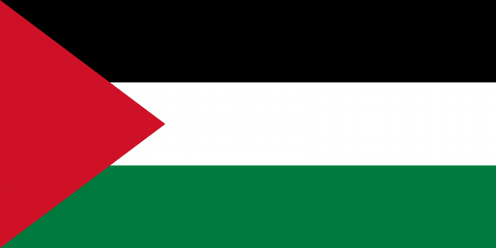 Palestiinan lippu.