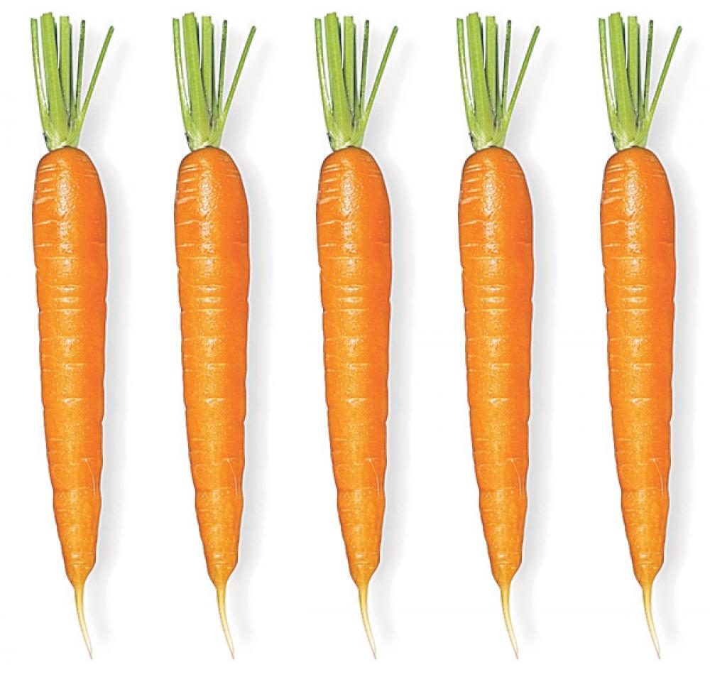 Porkkanat.