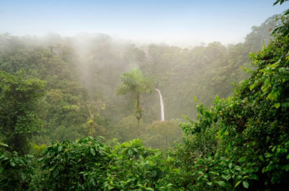 Costa Rican sademetsä.