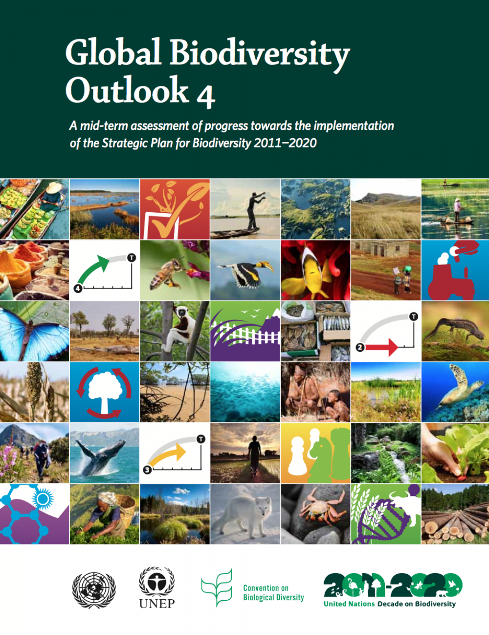 Global Biodiversity Outlook 4 -kansi.