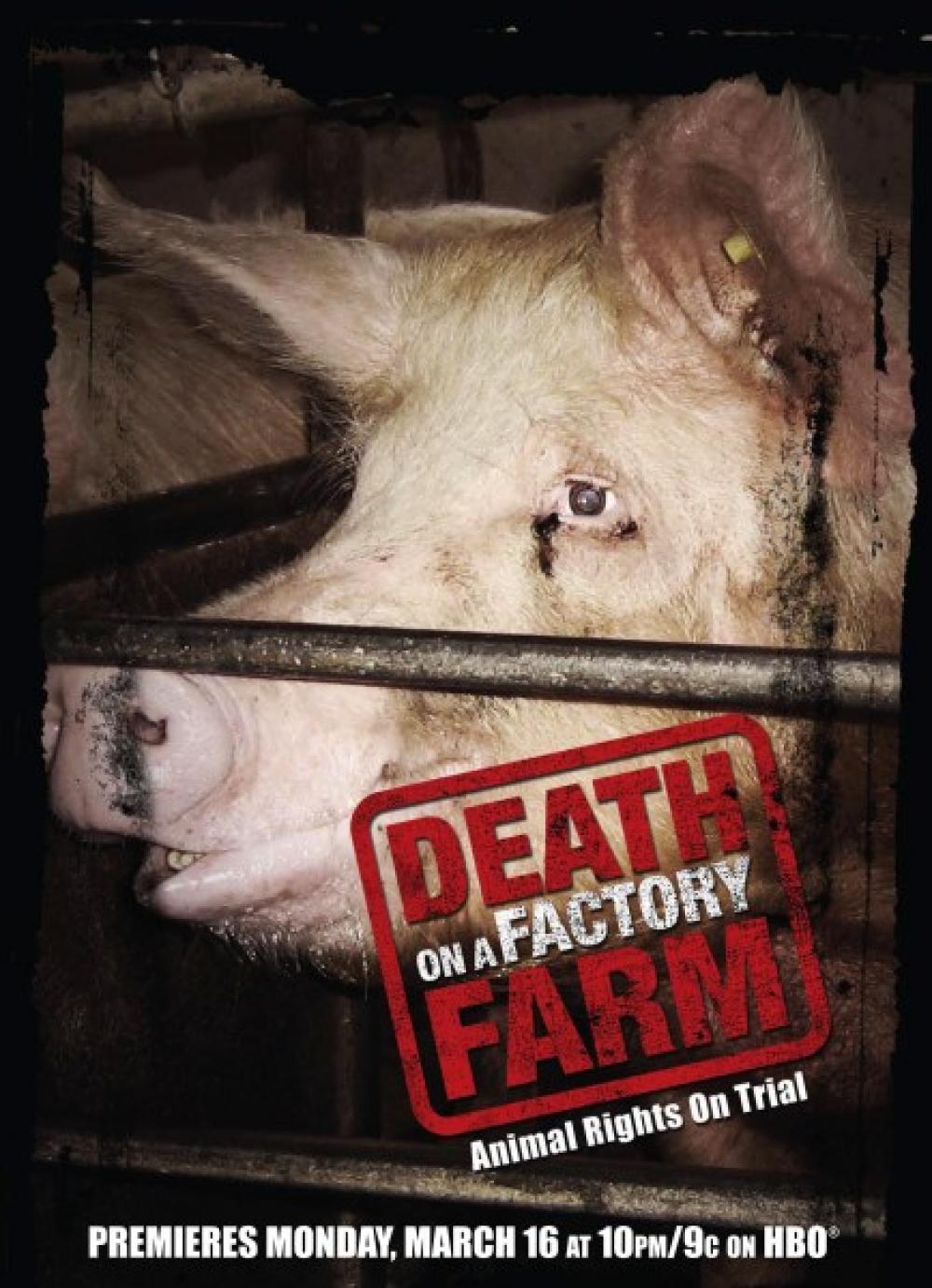 Death on a Factory Farm -elokuvan juliste.