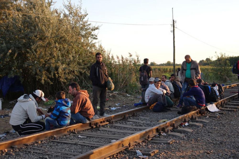 Pakolaisia Serbian ja Unkarin rajalla