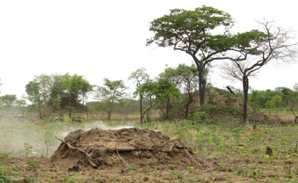 Puuhiilen kydettämistä Sambiassa